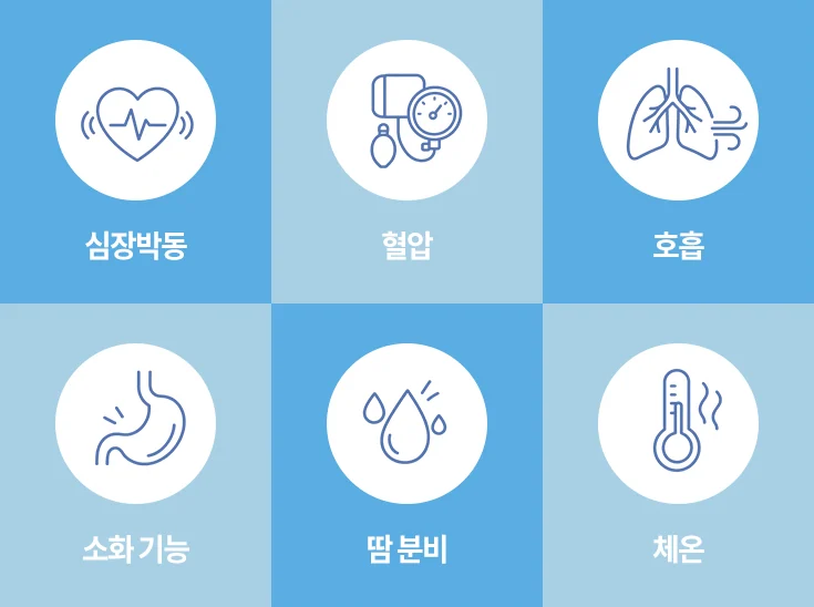 자율신경실조증 — 자율신경이란 무엇인가요?